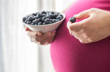 食疗养护卵巢助你怀孕